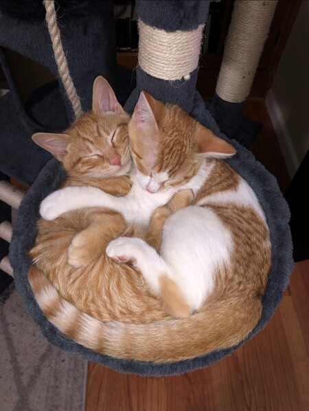 Vincent and Jules