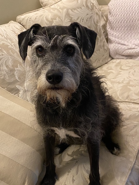 Maggie
