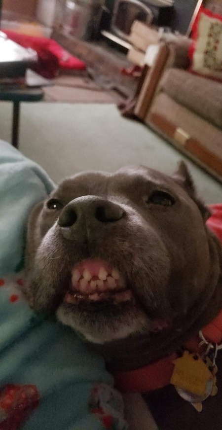 Cesar