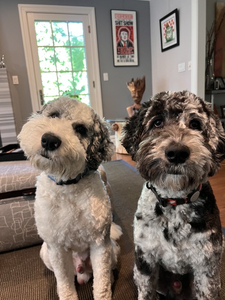 Scuba & Mansfield 