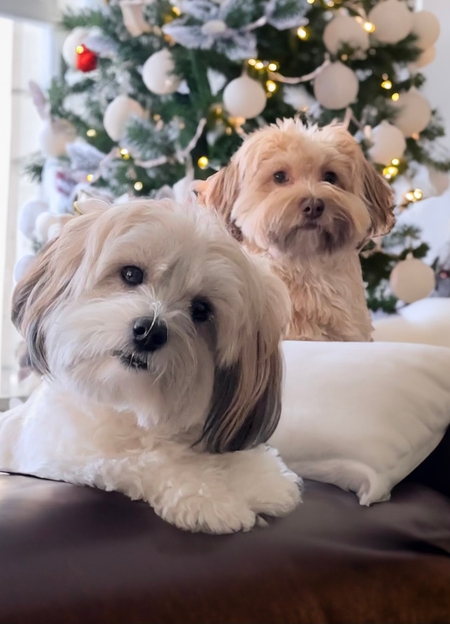 Timmy & Maddie