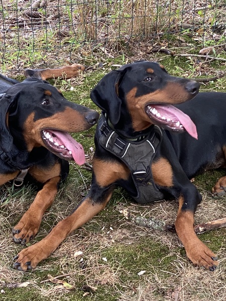 Oonagh & Leia