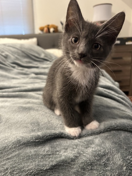 Bernie 