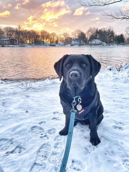 Gus