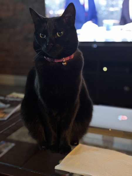 JD