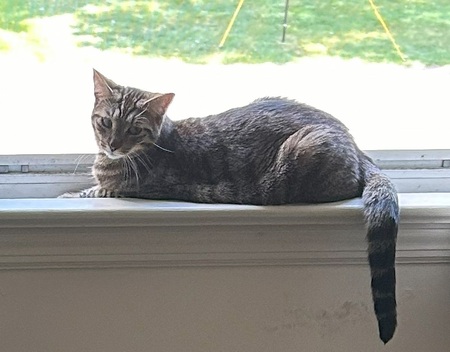 Freya