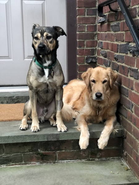 Obi Wan & Finn Best Buds!