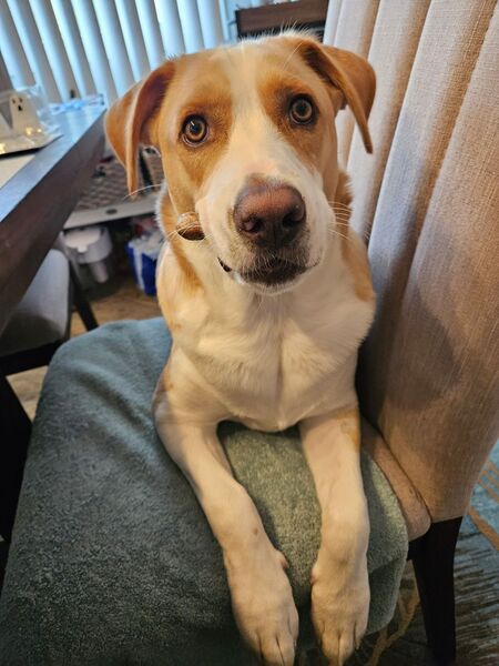 Milo