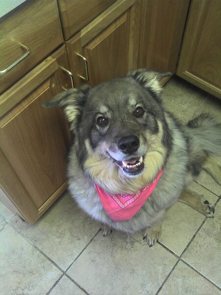 Roxy