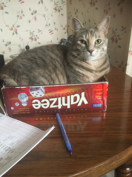 Peppermint