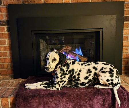 Dot