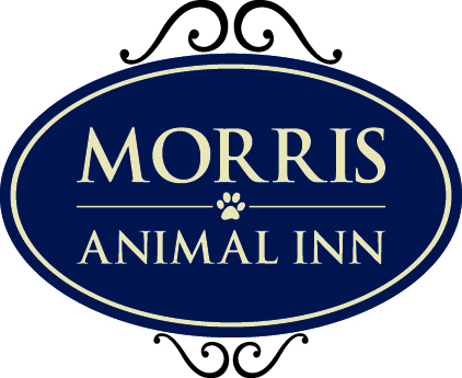 Sponsored by