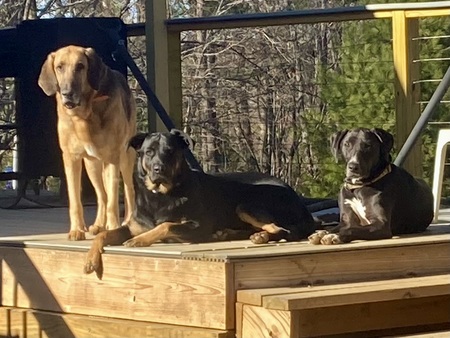 Chief, Maggie, & Vinnie