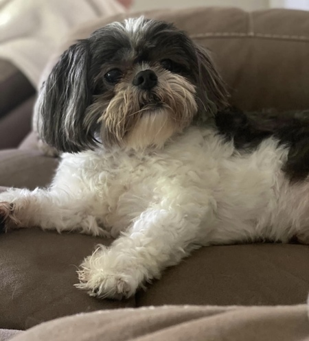 ROSCOE P. COLTRANE