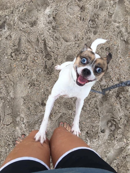 Bailey