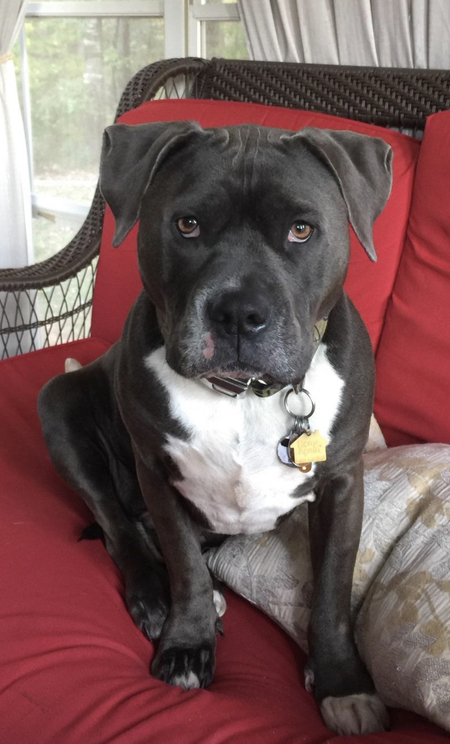 Jax 