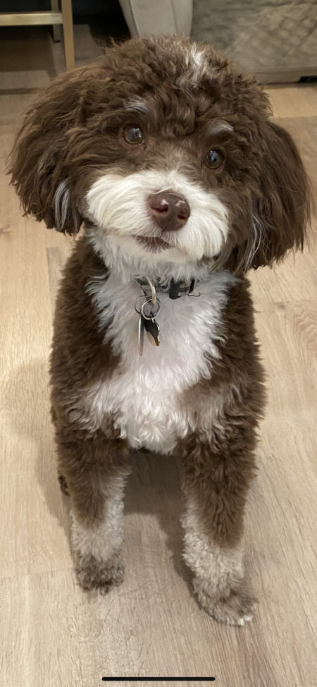 Hershey
