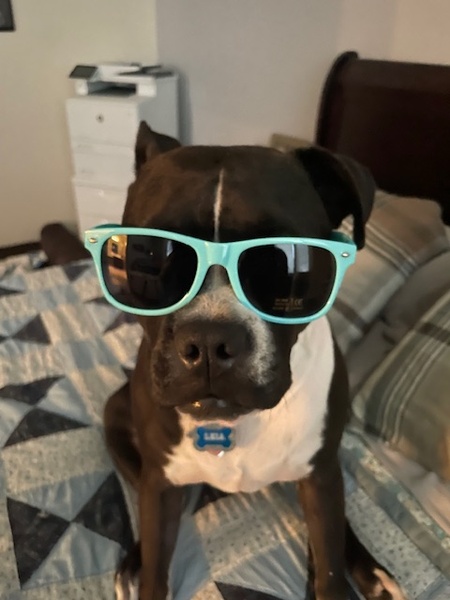 Princess Leia