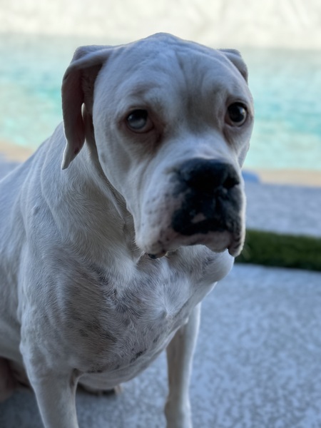 Casper
