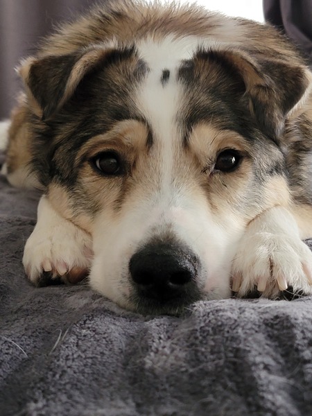 Max