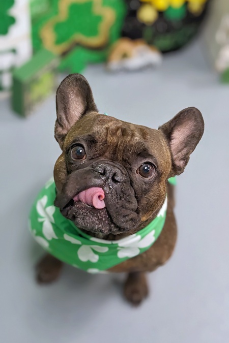 Coco