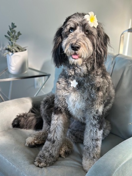 Maggie
