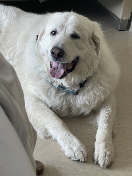 Lenny