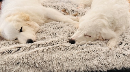 Éloïse (left) Jean-Luc (right)