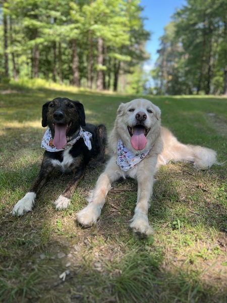 Bennett and Reese