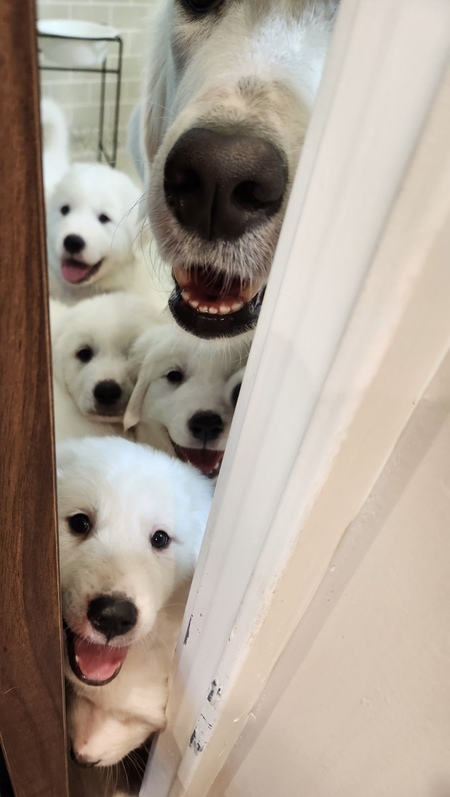 Betty and babies