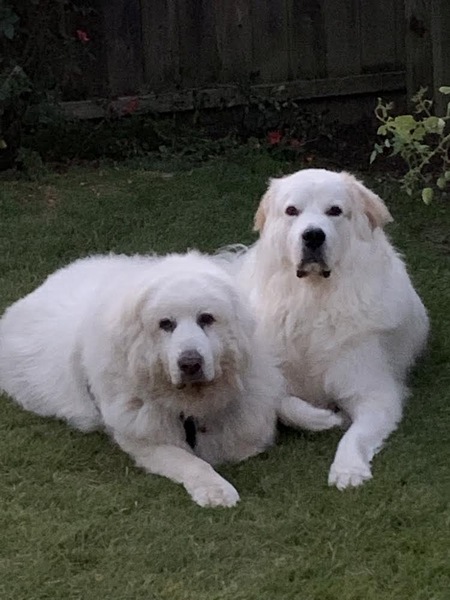 Shelby and Sebastian