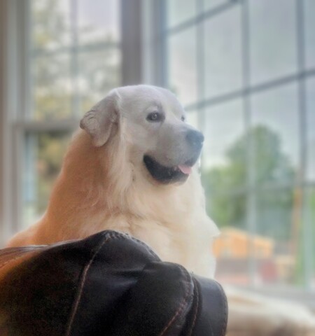 Doug