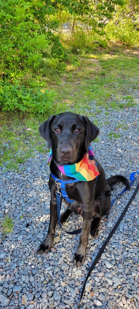 Duke