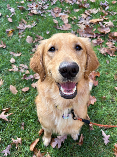 Ellie
