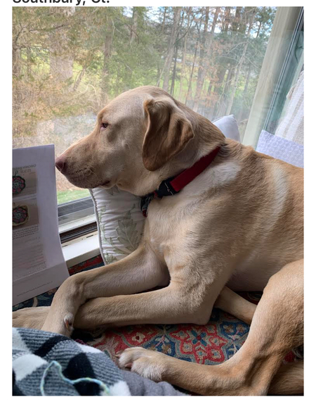 Oakley