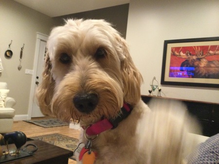 Molly
