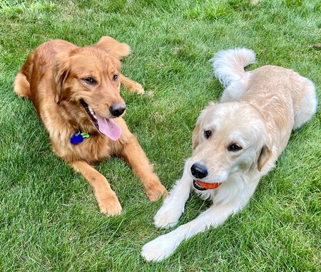 Kendra-Betsy and Trixie