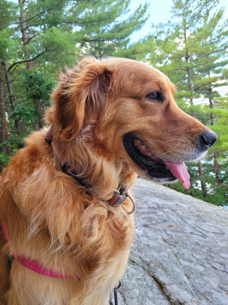 Molly