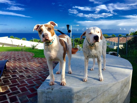 Pablo y Matilde