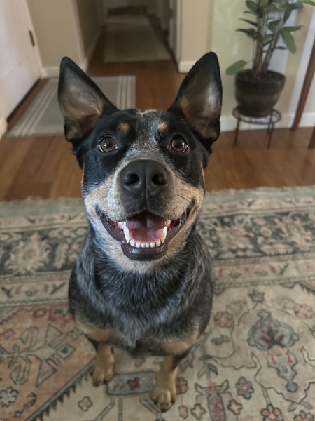 Charlie