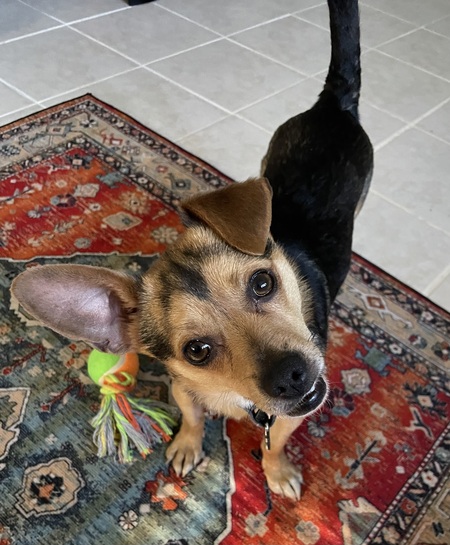 Jax