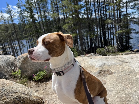 Bella