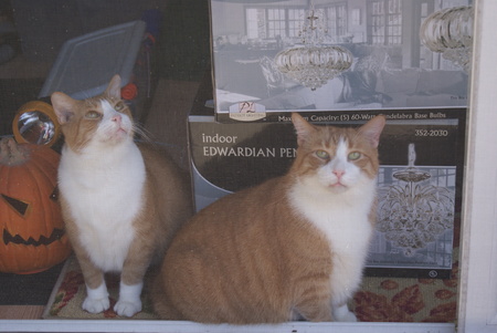 FRANKIE & LOUIE