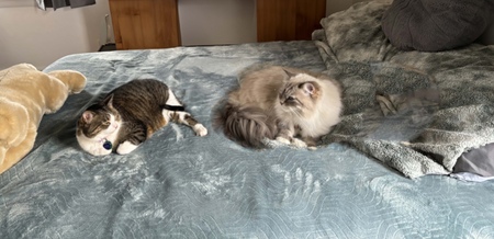 Rose & Emeric
