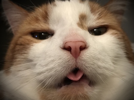 Walter