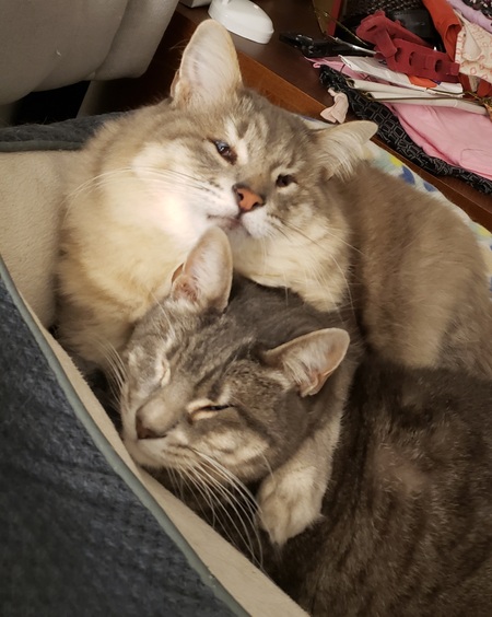 Cuddles & Downy
