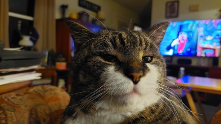Chester Chestofferson
