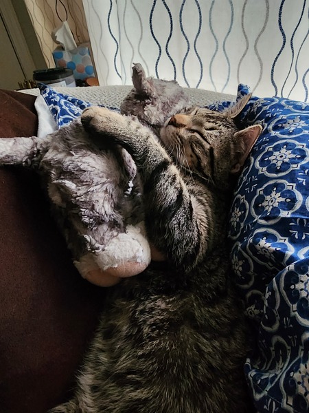 Baxter