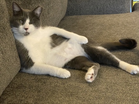 Opie