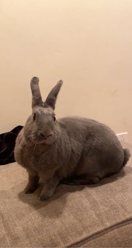 Chunky